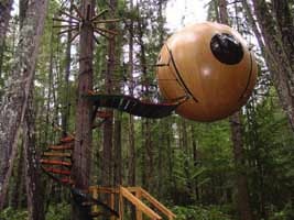 Maison dans un arbre